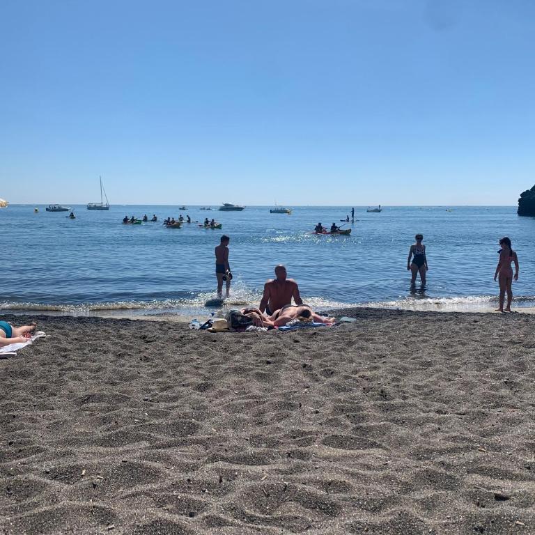 T3 CLIMATISE 40m2 Piscine Parking PRIVE 2 Chambres Secteur falaises 50 m de la plage Proche centre-port 4 Personnes - Double Room - 12