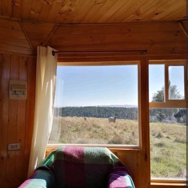Domo Vientos del Sur - Casa con 1 dormitorio - 9