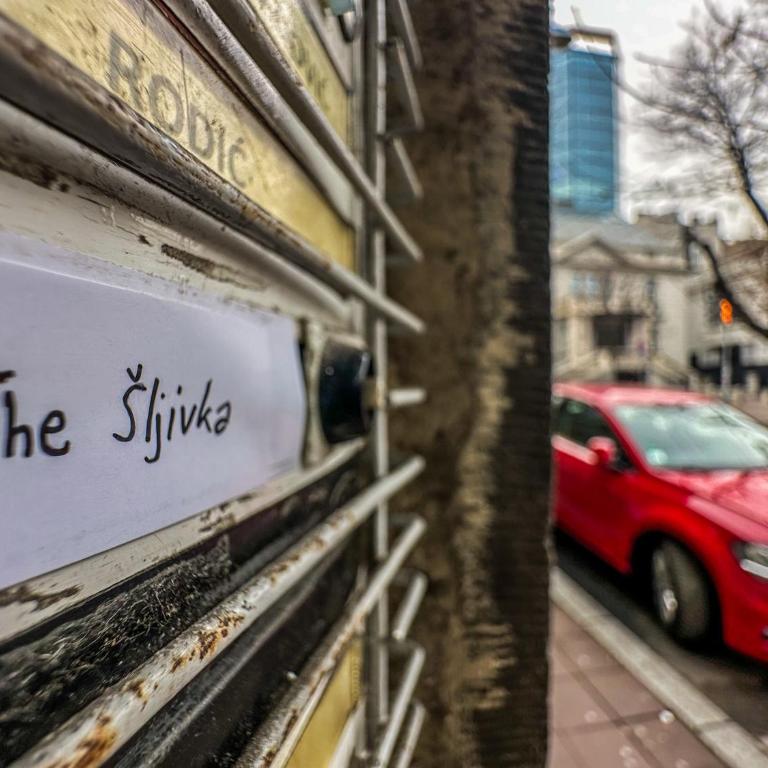 The Šljivka - Apartman sa 1 Spavaćom Sobom - 30