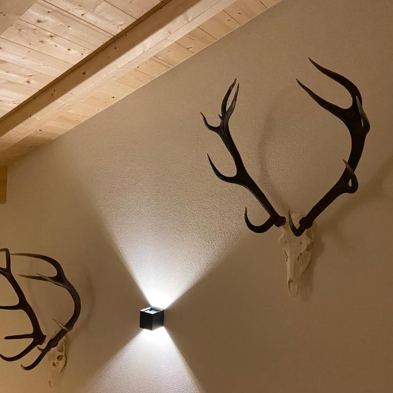 Ferienwohnung Hirschsprung - Appartamento con 2 Camere da Letto - 37