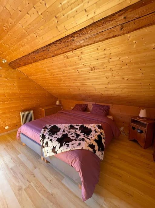 Charme des montagnes et Annecy - Appartement - 8