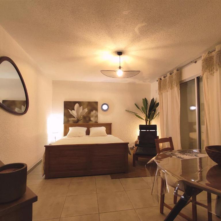 Le panorama époustouflant " climatisé" - Apartamento Estudio - 13