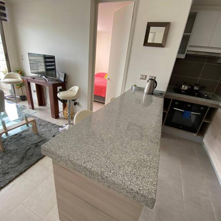Hermoso Departamento con excelente vista, a pasos de la Quinta Vergara, cercano a Reloj de Flores y Playa Caleta Abarca - Two-Bedroom Apartment with View - 28