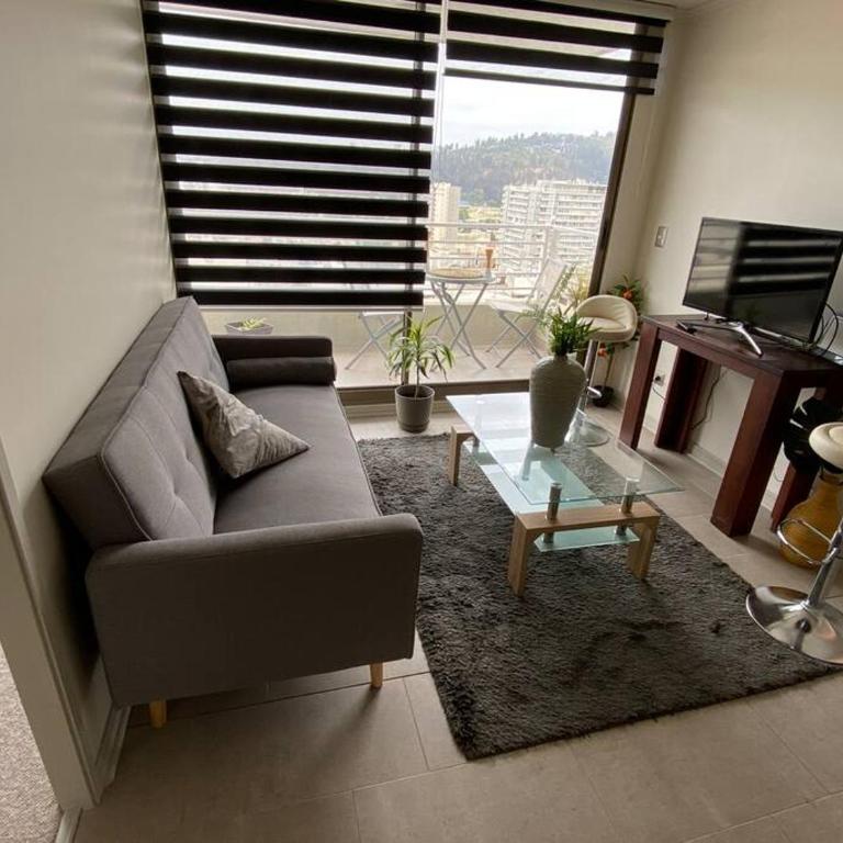 Hermoso Departamento con excelente vista, a pasos de la Quinta Vergara, cercano a Reloj de Flores y Playa Caleta Abarca - Two-Bedroom Apartment with View - 29