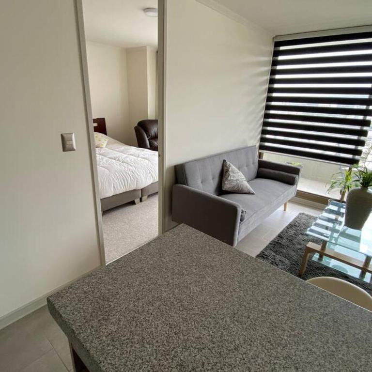 Hermoso Departamento con excelente vista, a pasos de la Quinta Vergara, cercano a Reloj de Flores y Playa Caleta Abarca - Two-Bedroom Apartment with View - 37