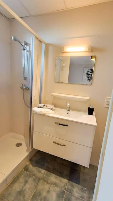 Foucault - Appartements - au cœur de Lourdes - Appartamento con 1 Camera da Letto - 12