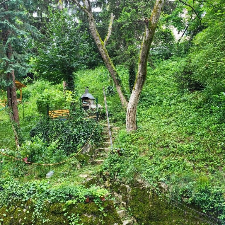 Grand Apartman San, free parking - Superior Apartment - 24
