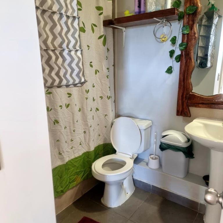 Arriendo departamento diario Villarrica - Apartamento de 1 dormitorio - 7