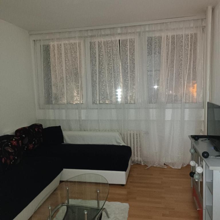Nis apartments - Apartman sa 1 Spavaćom Sobom - 5
