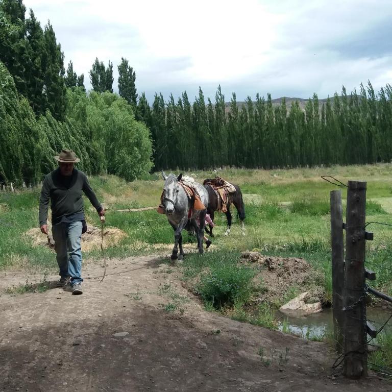 Beautiful cabin in Patagonia Chile. - Studio Apartment - 28