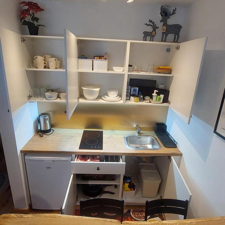 Apartman Funn5 - ApartHotel Vucko - private host - Apartman sa 1 Spavaćom Sobom - 11