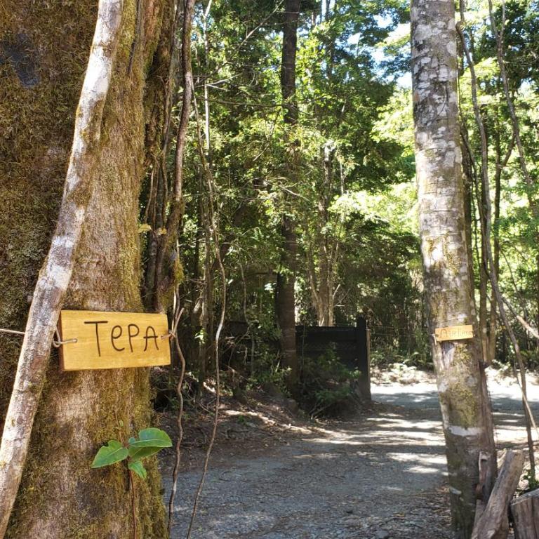 Cabaña bosque río - Casa de 2 dormitorios - 35
