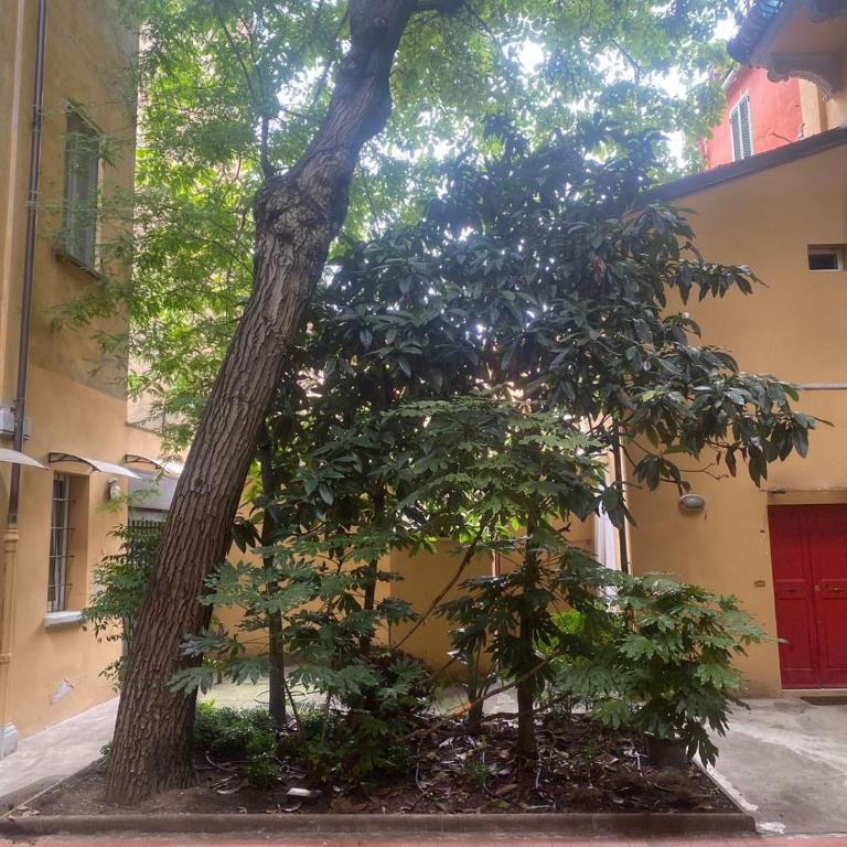 Casa Ortelia: apartment in a historic building - Apartment - Ground Floor - 4
