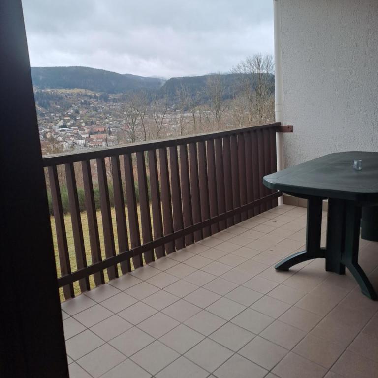 Appartement résidence Les Dryades avec vue montagne - Appartement 2 Chambres - 12