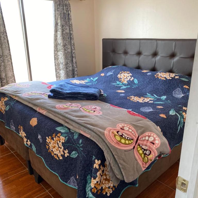 PICHIDANGUI, Casa Los Zorzales 6-7 personas - Casa de 2 dormitorios - 14
