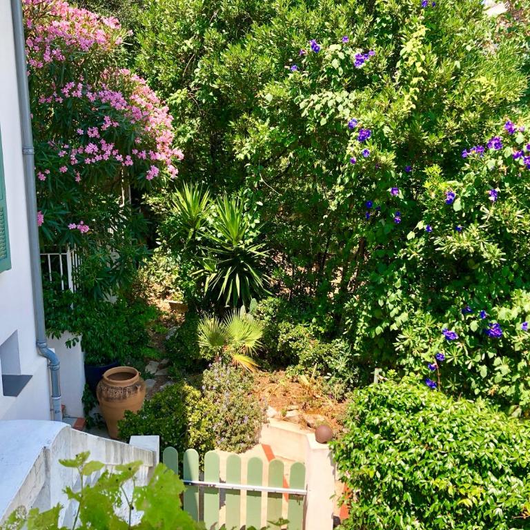 appartement dans maison de ville avec jardin - Appartement 1 Chambre - 25