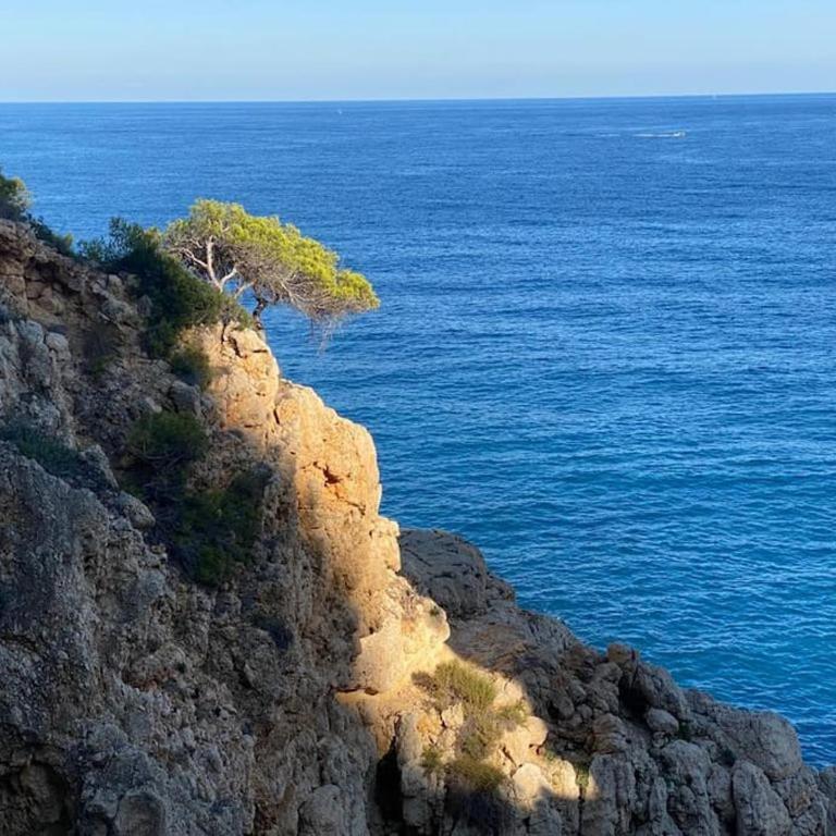Casa Othello - Villa with private pool - Three-Bedroom Villa - 38