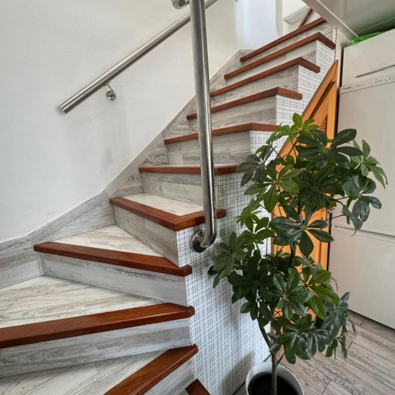 Casa Dunaflor - Casa - 14