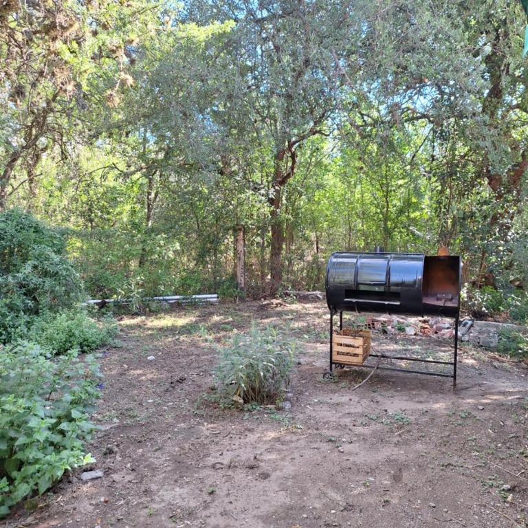 Luz de Cabaña - Apartamento de 1 dormitorio - 31