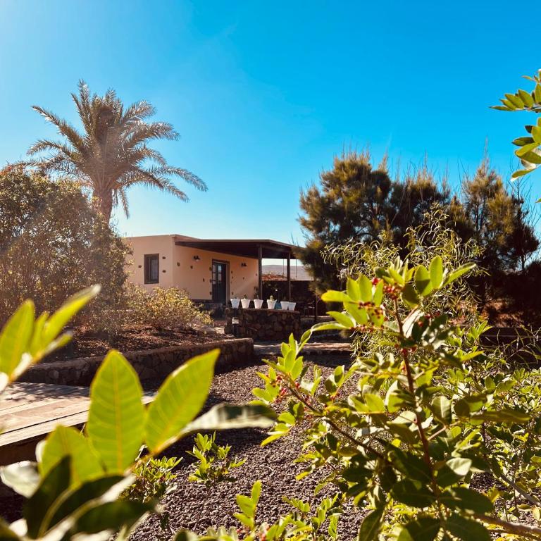 Erbania Heritage, naturally - Apartamento de 1 dormitorio - 69