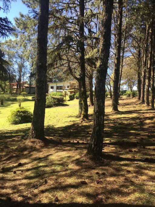 Casa Sacriste/ Familia Ahualli - Casa de 3 dormitorios - 9