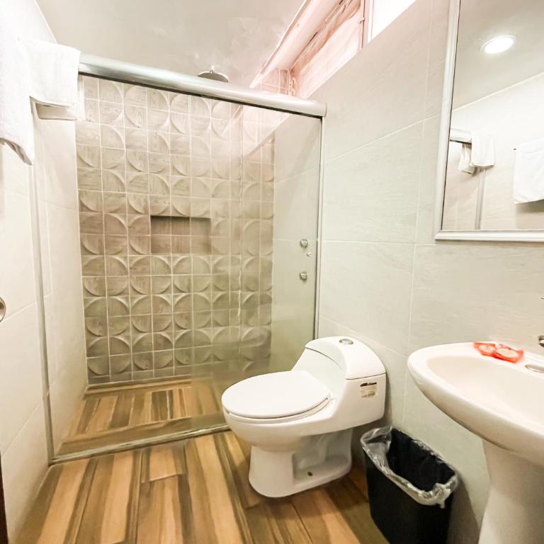 Hotel Expo Plaza Business and Family Guadalajara - Queen Room - 4