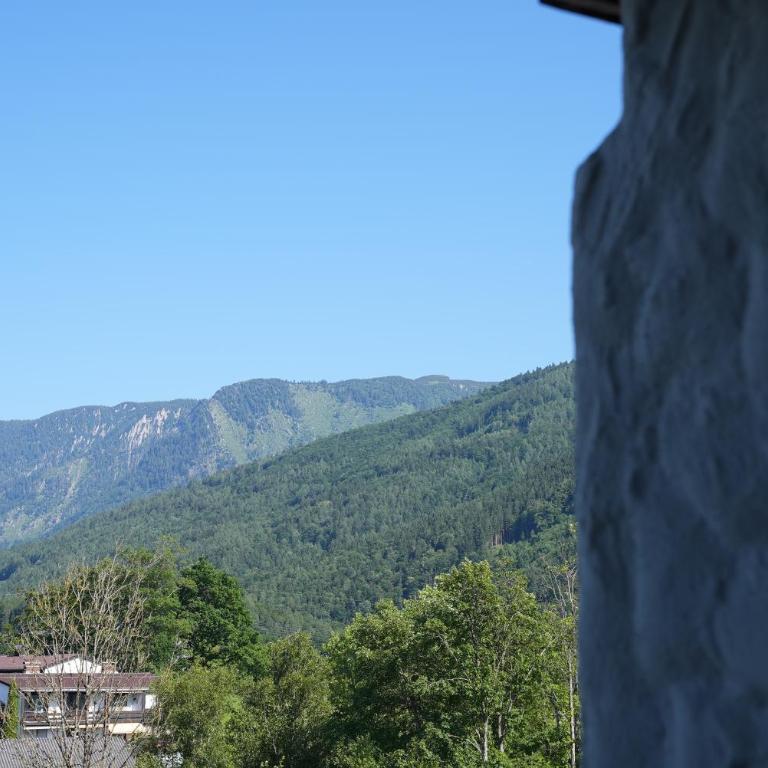 Bergblick 411 am Wolfgangsee - Apartment with Mountain View - 51