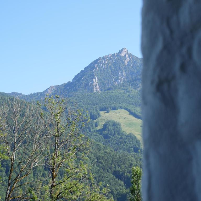 Bergblick 411 am Wolfgangsee - Apartment with Mountain View - 53