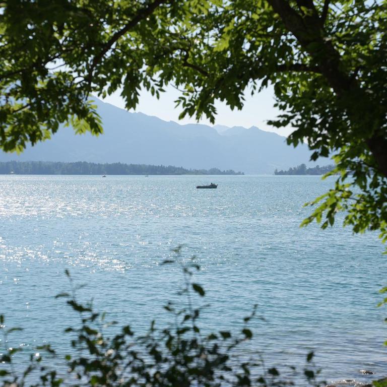 Bergblick 411 am Wolfgangsee - Apartment with Mountain View - 89