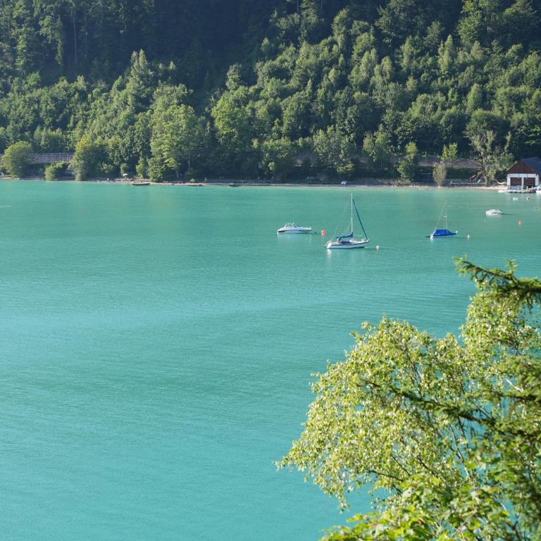 Bergblick 411 am Wolfgangsee - Apartment with Mountain View - 90