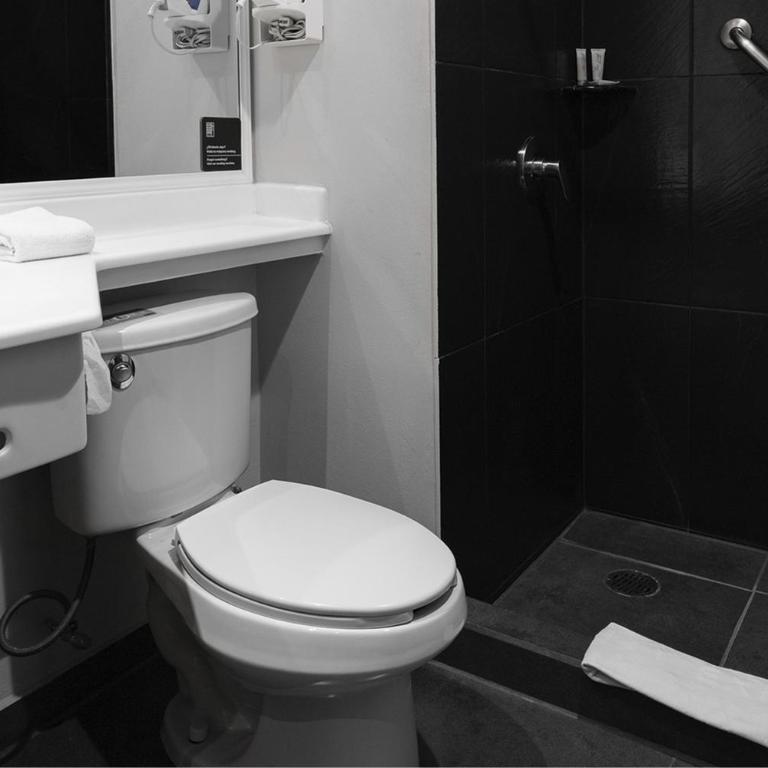 City Express Plus by Marriott Guadalajara Expo - Queen Room - 8