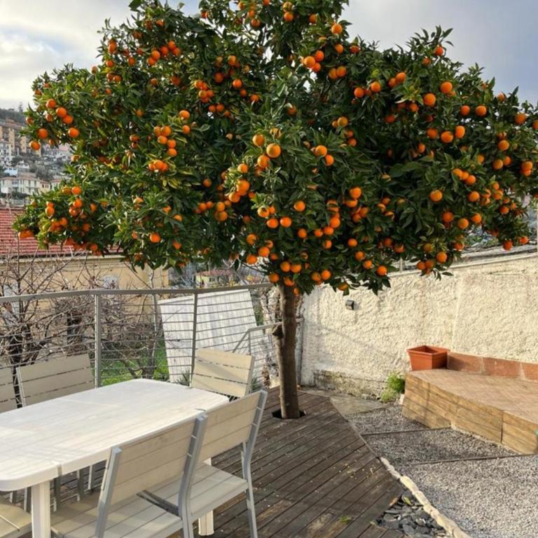 Villetta Fioregreco - free parking - Large outdoor space - Appartamento con 2 Camere da Letto - 60