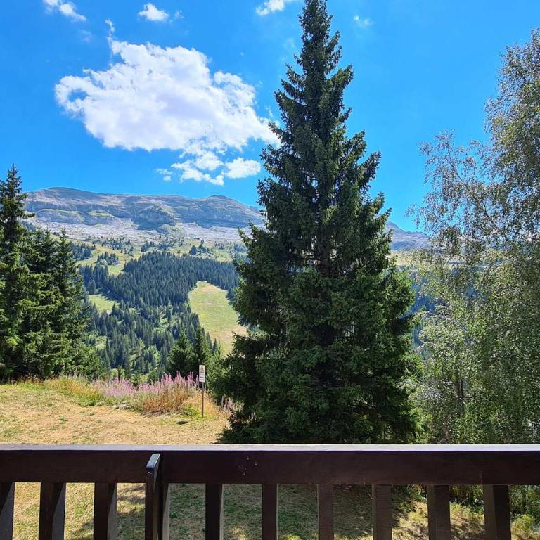 Appartement spacieux au pied des pistes avec balcon et WIFI - FR-1-425-212 - Appartement - 7