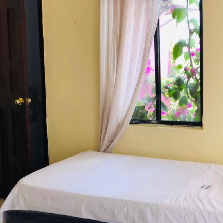 Veranera Hostal - Double Room with Two Double Beds - 8