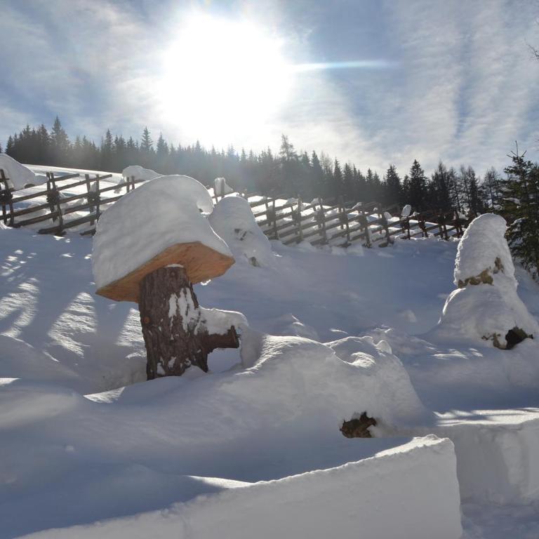Webertonihütte - Haus mit 3 Schlafzimmern - 44