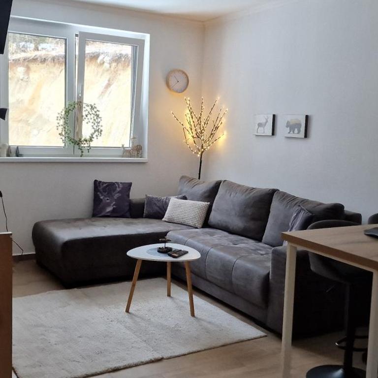 Tavita Kopaonik - Apartman sa 1 Spavaćom Sobom - 5