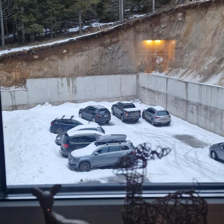 Tavita Kopaonik - Apartman sa 1 Spavaćom Sobom - 10