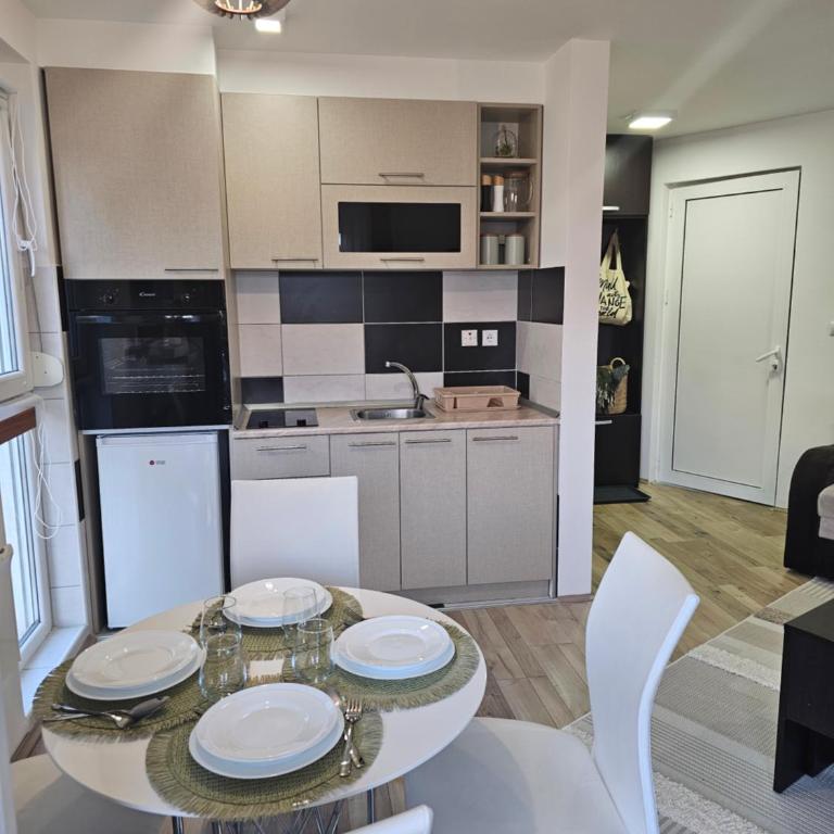 Studio apartman Verte - Studio sa Balkonom - 2
