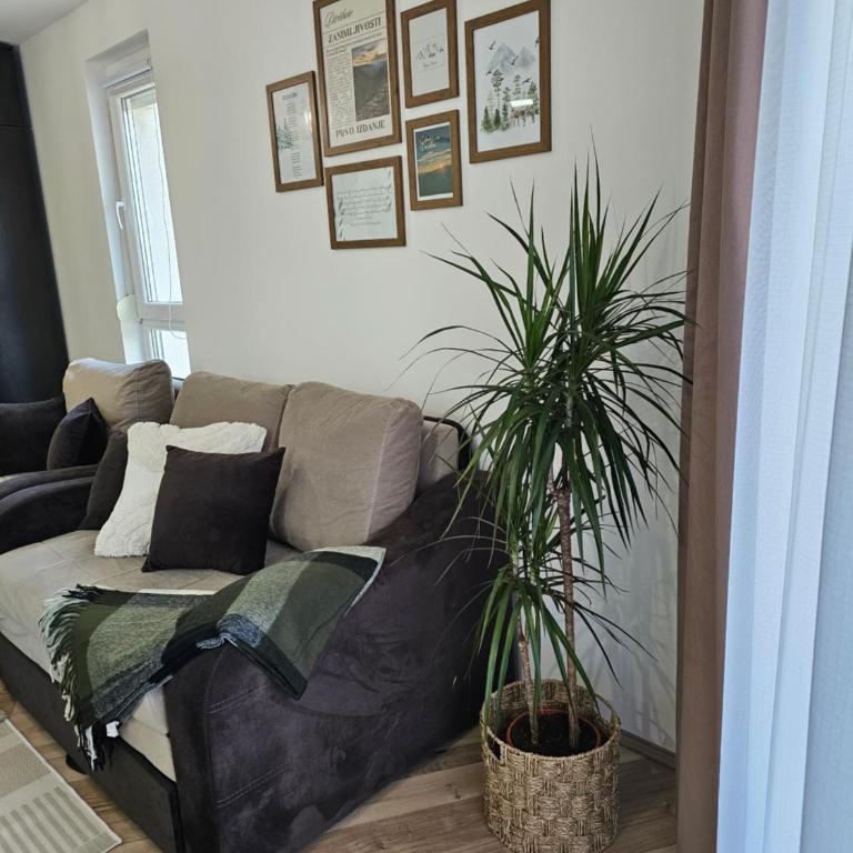 Studio apartman Verte - Studio sa Balkonom - 8
