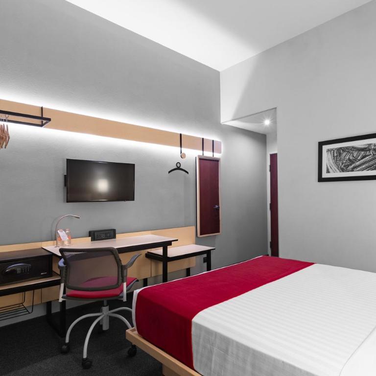 City Express Plus by Marriott Guadalajara Expo - Queen Room - 1