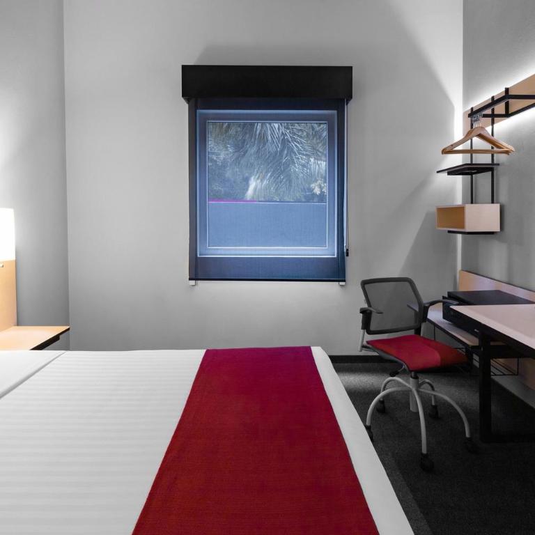 City Express Plus by Marriott Guadalajara Expo - Queen Room - 3