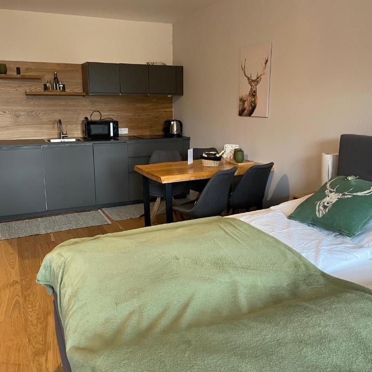 Wolfgangsee Ferienappartement „Almliebe“ - One-Bedroom Apartment - 37