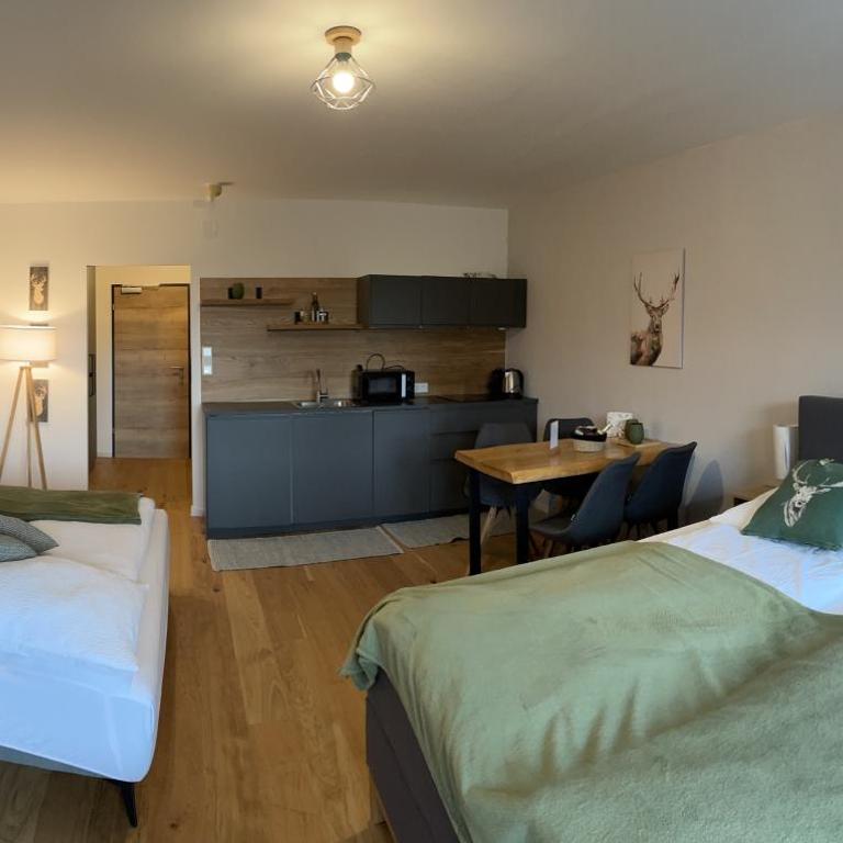 Wolfgangsee Ferienappartement „Almliebe“ - One-Bedroom Apartment - 38