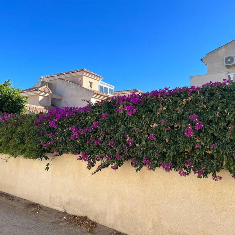 Club Salino 18 - Apartamento de 1 dormitorio - 28