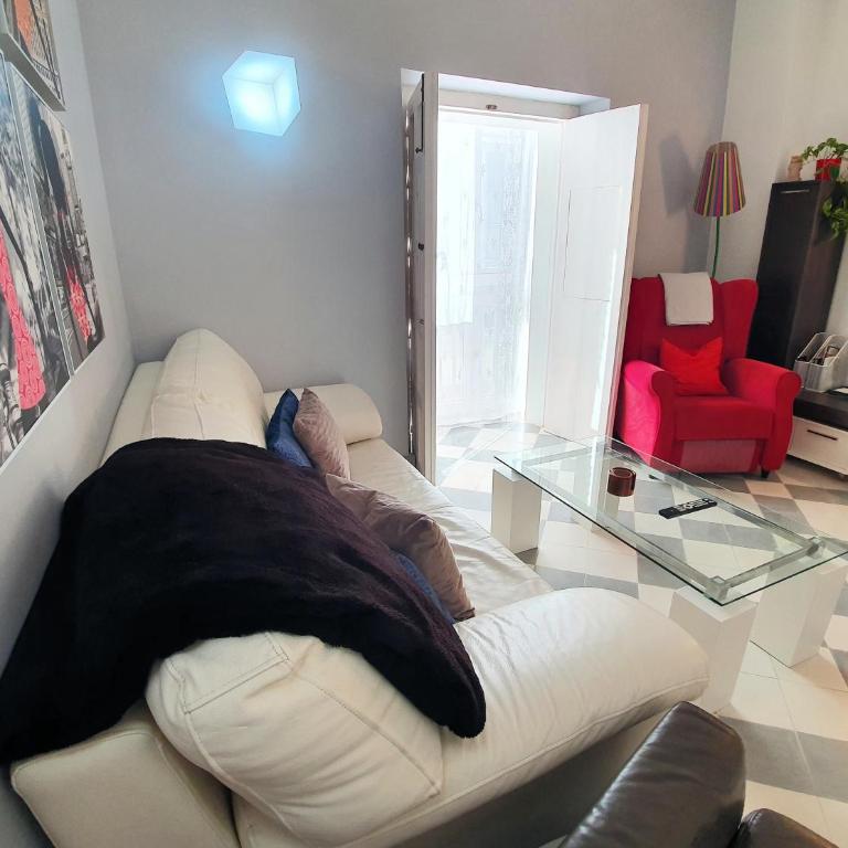 APARTAMENTO APODACA - Apartamento de 2 dormitorios - 7