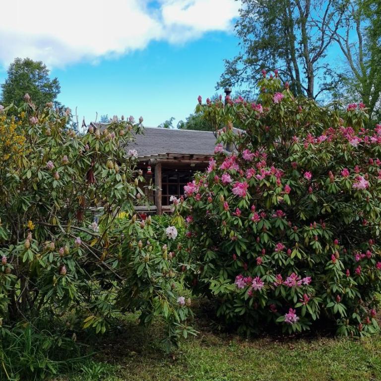 La Casa del Árbol Villarrica Cabañas-Piscina-Tinajas - Casa de 2 dormitorios - 44