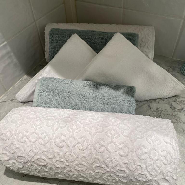 Le Duc de Savoie Thonon - Appartement 1 Chambre - 47