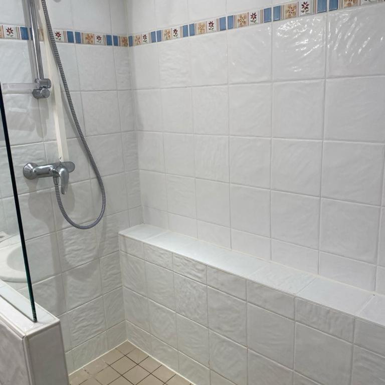 Le Duc de Savoie Thonon - Appartement 1 Chambre - 50