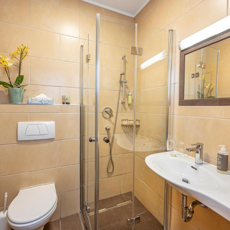 Landhaus Wolfgang Aubauerngut - Doppelzimmer - 6