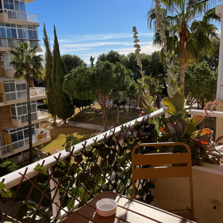 Estudio Boutique en Benalmádena, Recepción 24 horas, Piscinas - Estudio Deluxe - 12